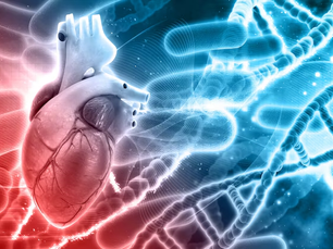 IgA ET AMYLOSE CARDIAQUE