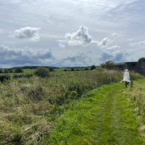 Guests walking in a Cotswolds field near Chipping Norton