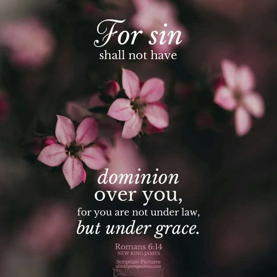 Romans 6_14