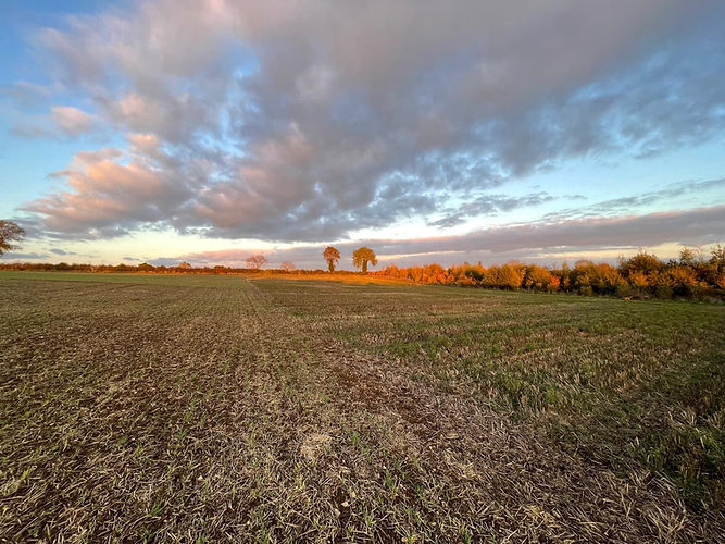 Sunset in the Cotswolds near Rousham.jpg
