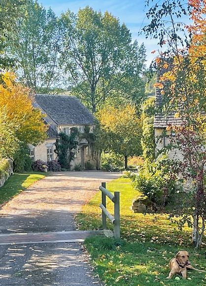 Taynton, Burford, dog