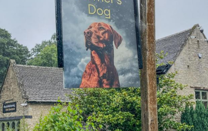 Ziggy at Diddly Squat Farm Shop on Cotswolds tour