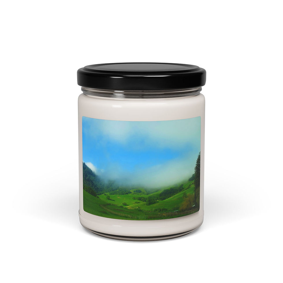 Home, Candles: MORNING FOG