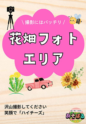 花畑フォトエリア_edited.jpg