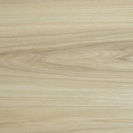 233 淺梧桐 Pastel Firmiana.jpg