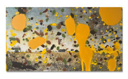 120x65cm_Westin2026