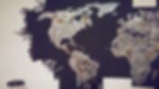 Worldmap.jpeg