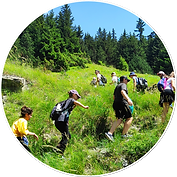 Hiking.png