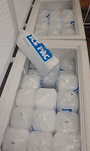 91907862_10207718437916696_2403594961632