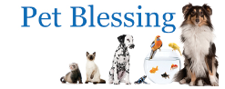 Pet Blessing