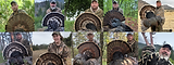 Oklahoma turkey hunting,mid west turkey hunting, longbeard, called in with premium turkey calls, gooserbat staff