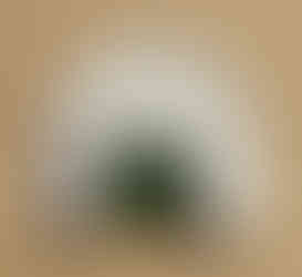 Custom diaphragm turkey calls handcrafted to hunter-selected tape, latex, and cut options