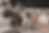 3 czar frenchie puppies at 8 weeks old.png