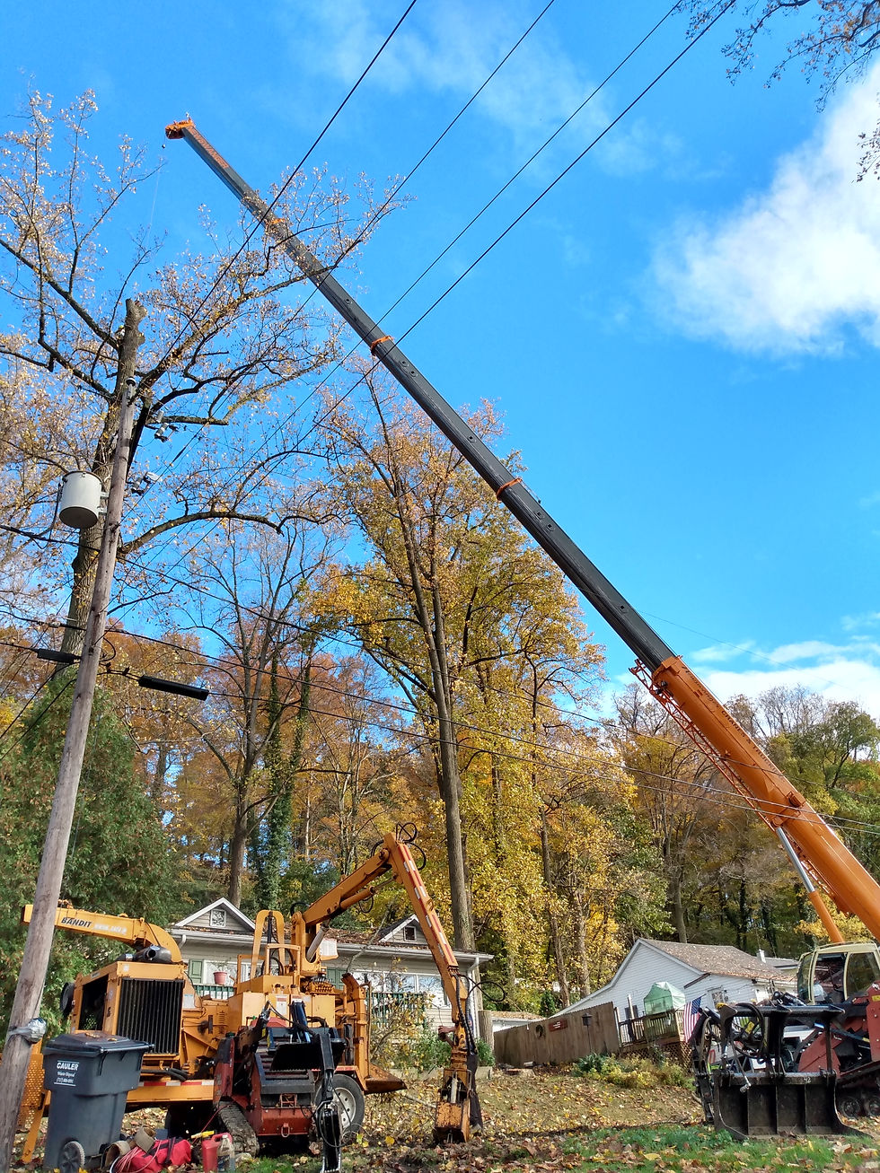 Hazardous tree removal in Lancaster County PA using crane assistance to safely remove storm-damaged trees near power lines