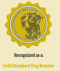 Greenfield Puppies Gold Standard Breeder - Stephen Stoltzfoos.png