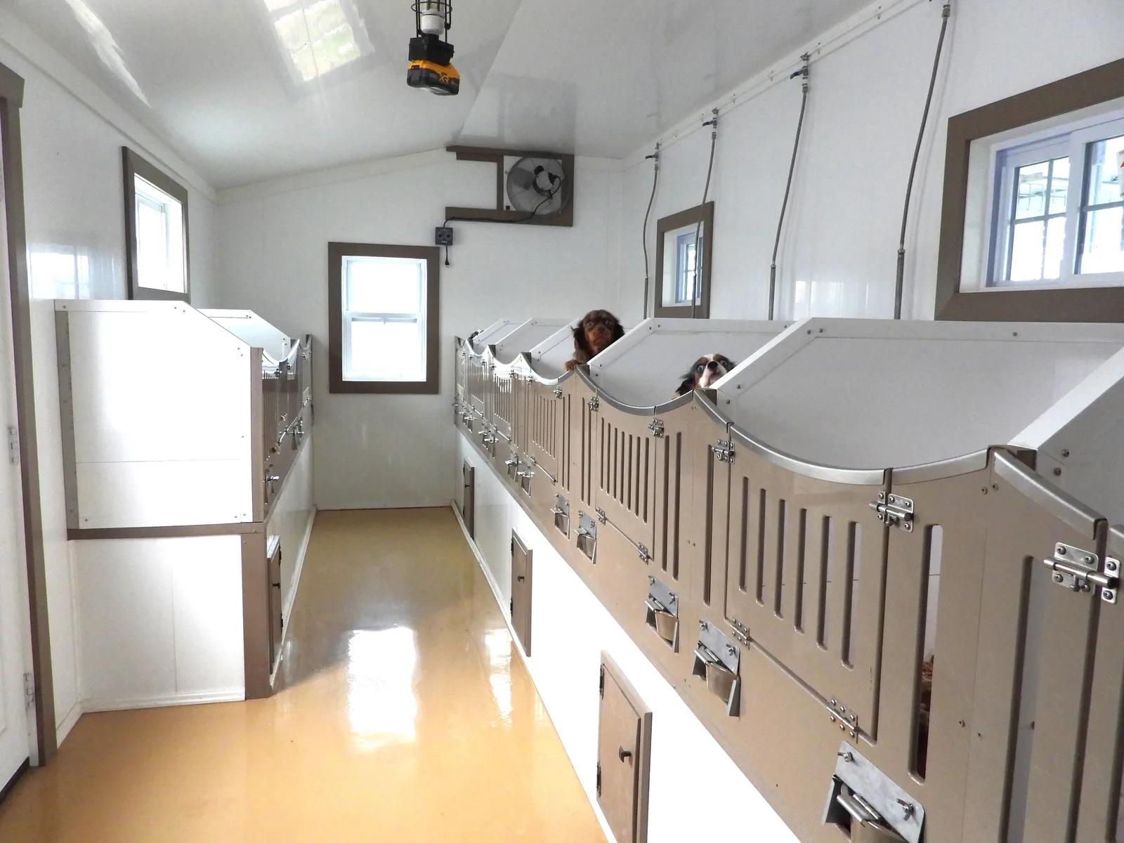 Individual care areas inside the KB Goldstar facility