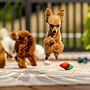 Adorable red toy poodle playing at Passionate Poodles Toy Poodle Breeder in Conestoga PA