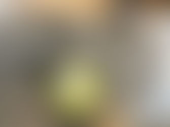 £1500 donation of fall monitoring equipment