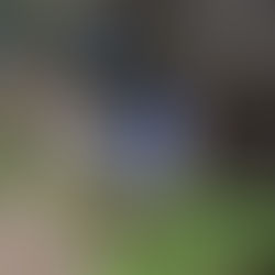 March Volunteer Gardening Session