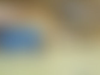 Wolfson Out and About Group - Badminton Trip