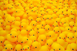 Rubber Duckies