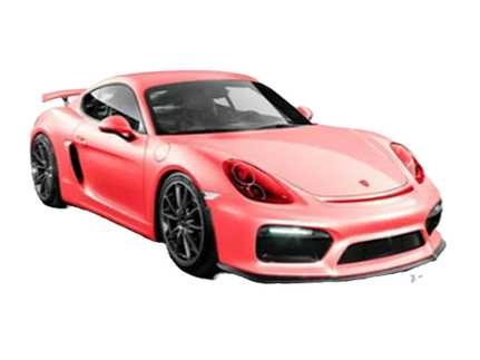 Full Body Protection