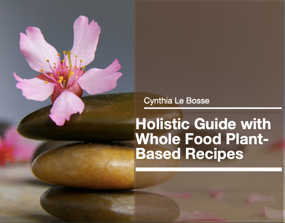 Holistic Lifestyle plant-based recipes