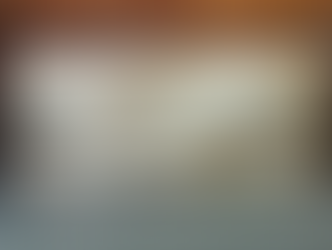 Valentine's Day Gift Guide: The Lovely Wanderer