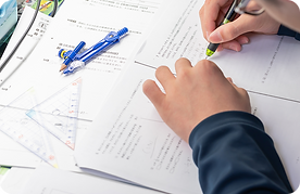 Mathematics_supplementary_class.png