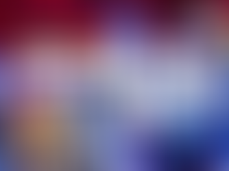 STAATSAKT #5: DIE VÖGEL