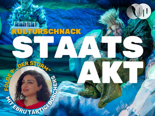 STAATSAKT #9: DER STURM