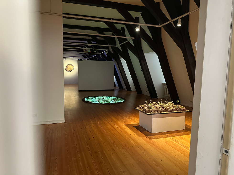 Ein Blick auf die Ausstellung „Waldarbeiten“ von Lucia Keidel im Landesmuseum Kunst & Kultur in Oldenburg