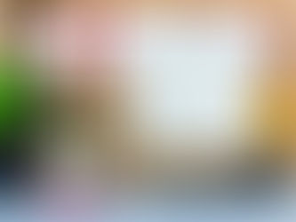 VORSTELLUNGS-GESPRÄCH