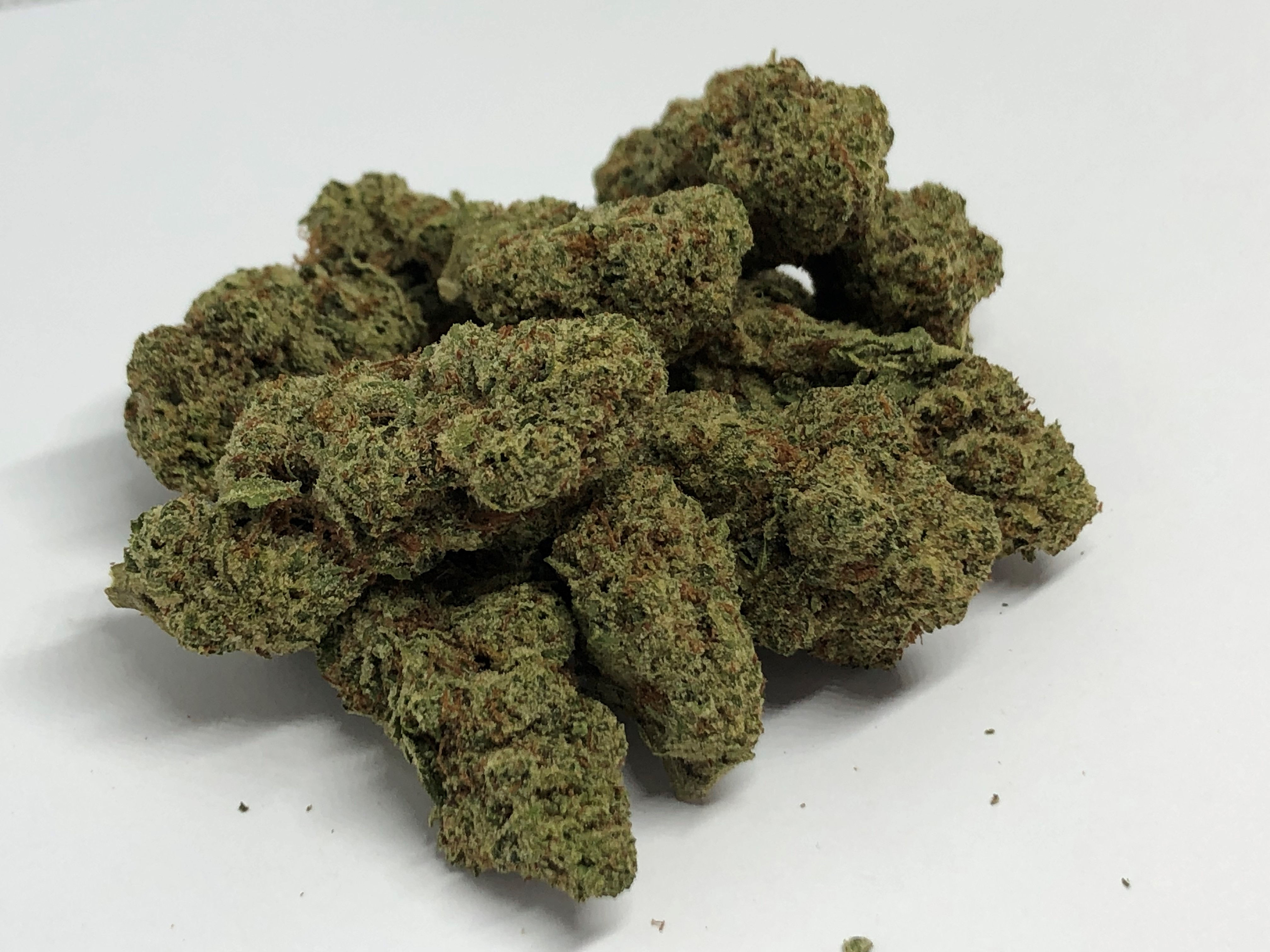 G Touch Collective Blackwater