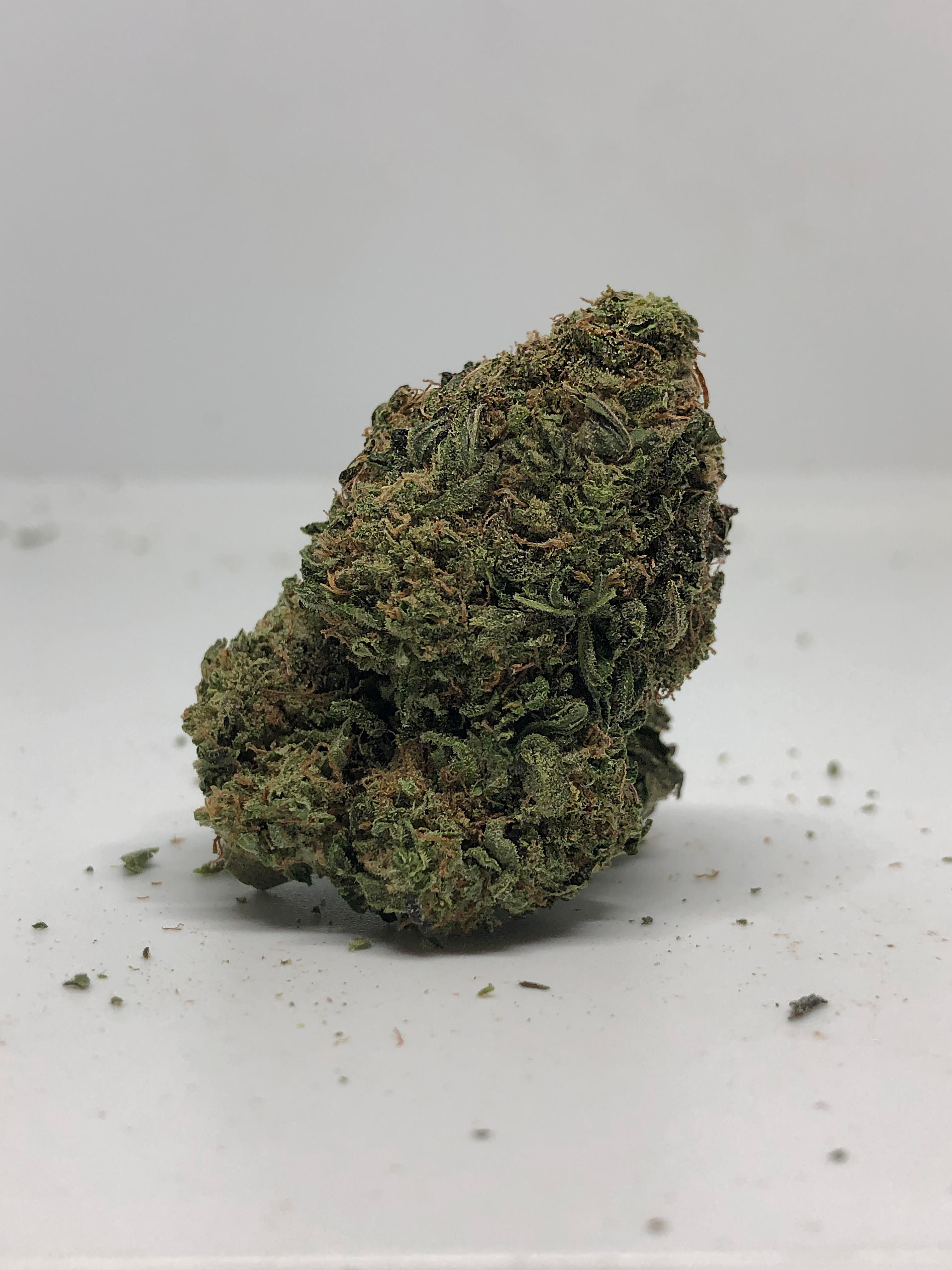 sfv og strain