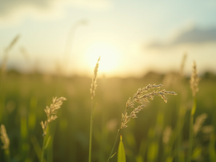 Overcoming Addiction: Success Stories from Recovery
