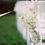Thumbnail: Buttery Bridal Box