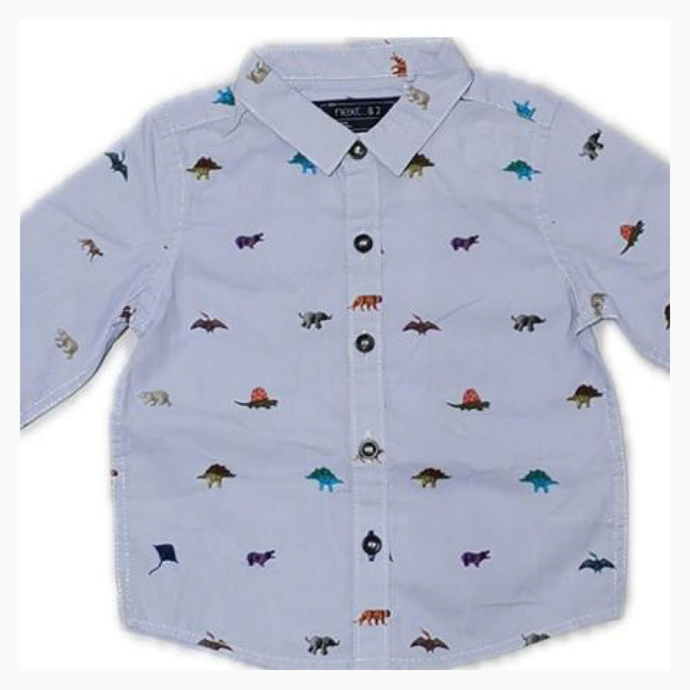 Thumbnail: Next Boys Long Sleeve Animal Kingdom Character 