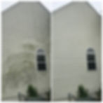 Side-by-side image of a house wall before and after cleaning. Left: dirty wall with green stains; right: clean, white wall.