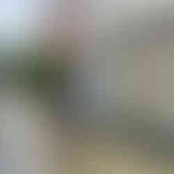 Commercial sidewalk power washing nj