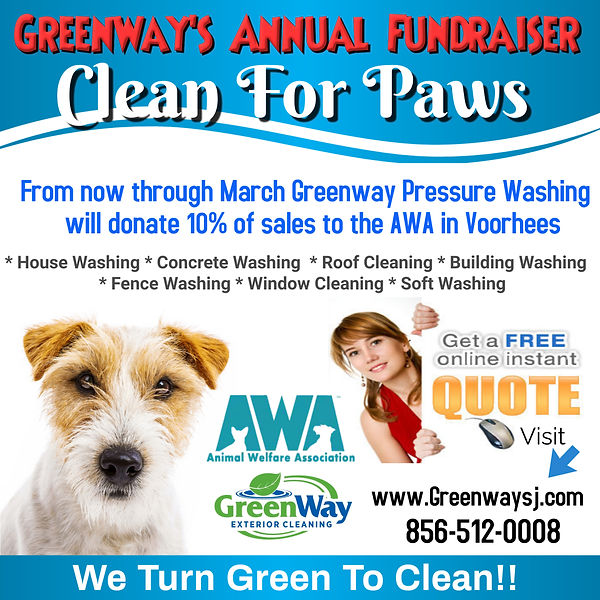 clean for paws 2024.jpeg