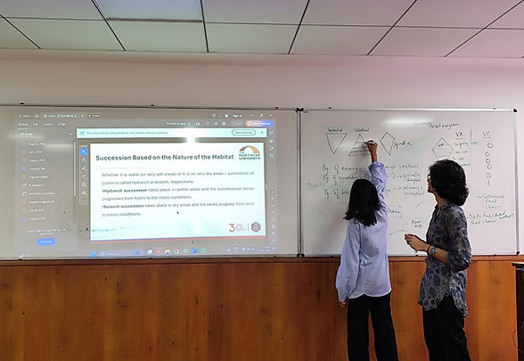 objectives option.jpg