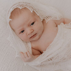 Newborn Photoshoot Brisbane