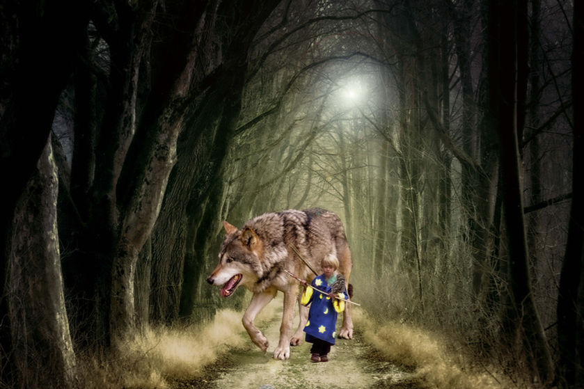 SamWolf