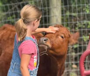 A Little Love Farm.jpg