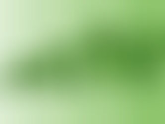 March 25, 2022 Spring ForestNewsletter