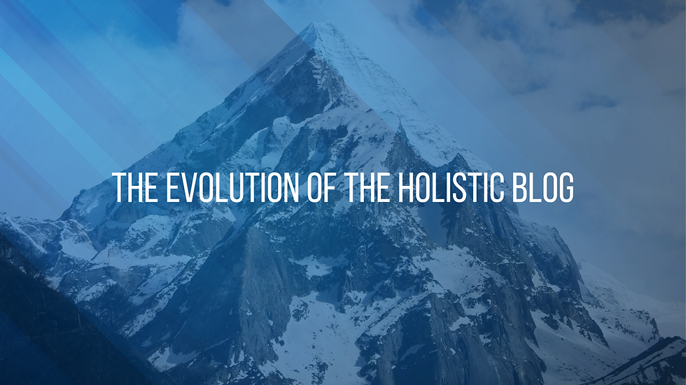 The Holistic Blog 