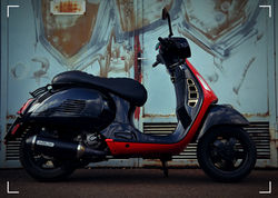 GTS300 RIZOMA "Beltracci"