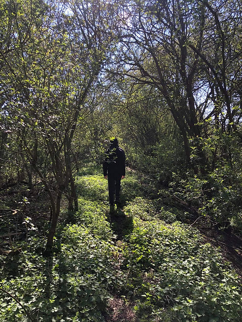 walkway.jpeg