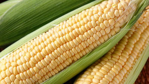 なぜか選んでしまう大好きな♡